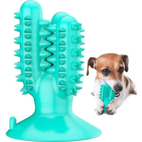 Dog Health Toothbrush, Dog Dental Care Chew Toy, Oral Massager ,Teeth Cleaning Stick with Suction Cup for Puppies , Cactus Shape