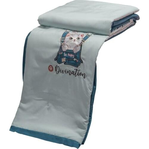 Mint Ice Silk Airable Cover Summer Blanket Single Double Quilt Summer Thin Duvet Summer Washable Silk Summer Quilt