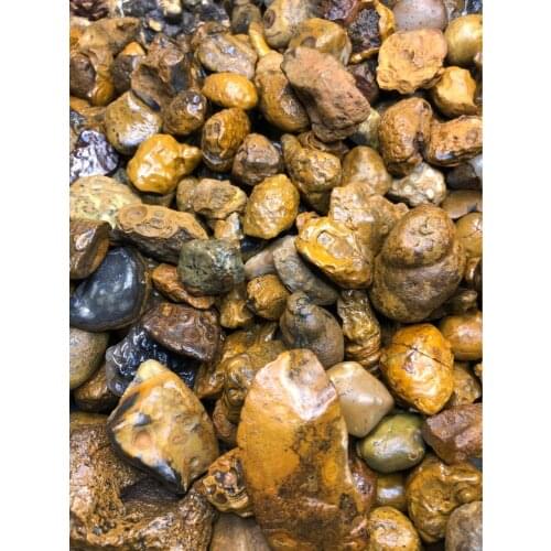 Meng Tianzhu Nine Eyes Shale Rough Stone Coin Stone Eye Stone Pictographic Rough Stone Collectible Rough Stone