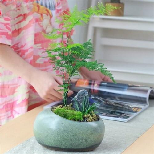 Retro ceramic flowerpot creative desktop home succulent green plants asparagus potted ware