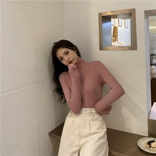 Long Sleeve Turtleneck coat Women Pullover Sweater