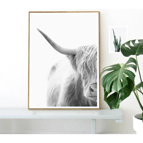Portrait Photography Highland Cow Posters and Prints Ashen Animals Wall Art Canvas Painting Wall Pictures For Living Room Decor