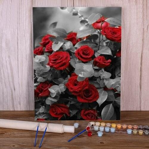 Flower DIY Painting By Numbers Kit Oil Paints 40*50 Oil Painting Wall Decoration For Handicraft