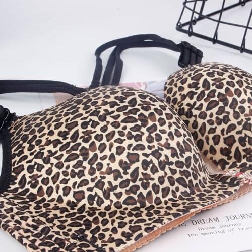 Sexy Leopard hot underwear new design ladies bra big cup plus size bra