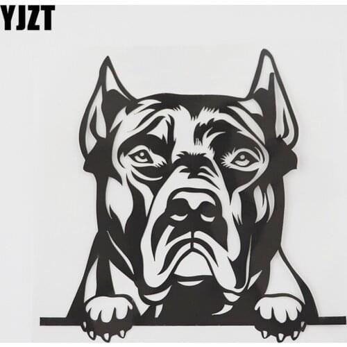 YJZT 14.9CMX14.8CM Cartoon Pit Bull Peeking Dog Decal Vinyl Car Sticker Black/Silver 8A-0529