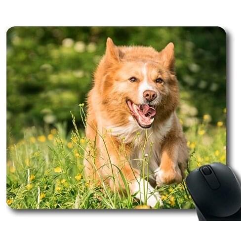 Gaming puppy dog mouse pad,Dog Run Play Meadow Flowers,dogs mouse mat