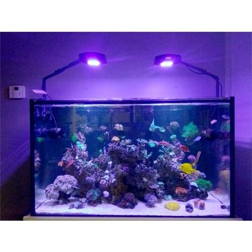Full-spectrum high-end seawater coral fish tank LED full-spectrum coral lamp holder clip light saltwater coral special lamp