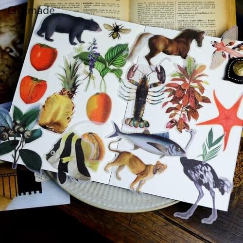 Lychee Life 50Pcs/lot Life Encyclopedia Animals Vellum Stickers For Scrapbooking Happy Planner Card Making Journaling Project