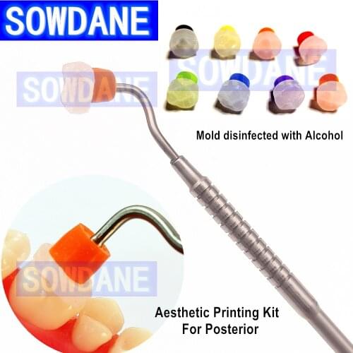 1 set Dental Aesthetic Printing Mold Kit with Metal Handle and 8pcs mold for Posterior Teeth Printing Mould set Disinfection