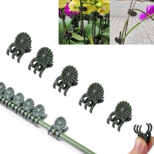20Pcs Vine Plastic Clips Hanging Stems Decoration Orchid Stalks Fix Flower Grow Upright Grafting Tool Garden Plant Support