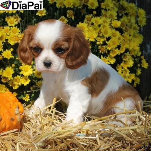 DIAPAI Diamond Painting Cross Stitch "Animal dog flower" Full Crystal Diamond Embroidery Needlework Craft Home Decor A26084