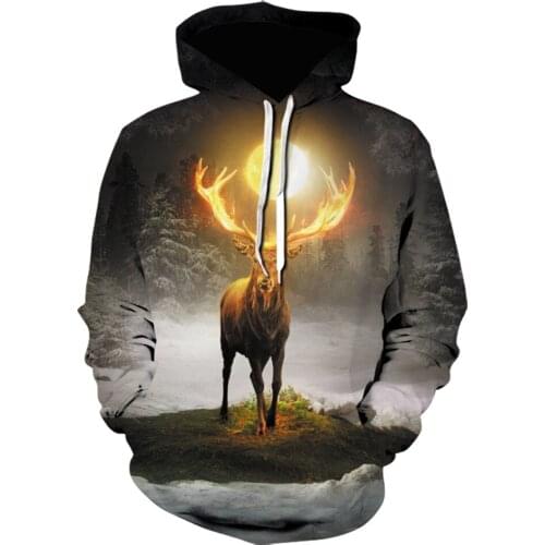 Domineering lion tiger hoodie 3D digital printing Tiger Wolf boy jacket leisure