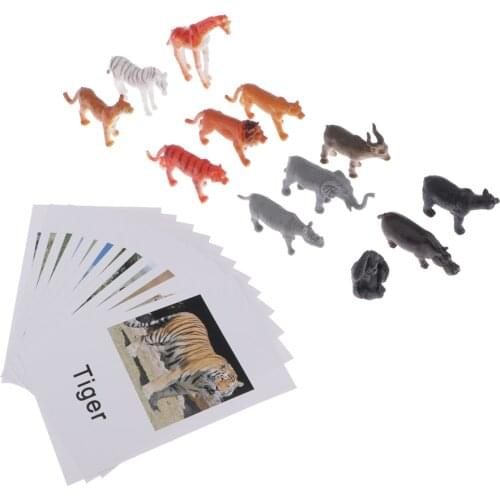 Montessori Matching Cards & Animal Figures - Set of 12 - Early Learning Manipulative for Kids