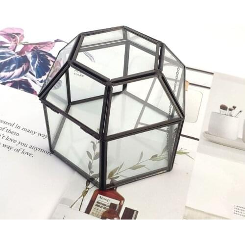 Clear Glass & Brass-Tone Metal Hinged Top Lid Terrarium Box/Tabletop Display Case Dropshipping