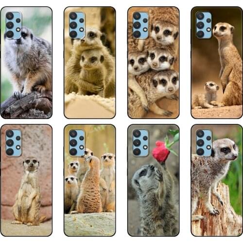 Black tpu Case For Samsung galaxy A12 A22 A32 A42 A52 A72 4g 5g S21 PLUS ultra back cover animal mob of meerkats