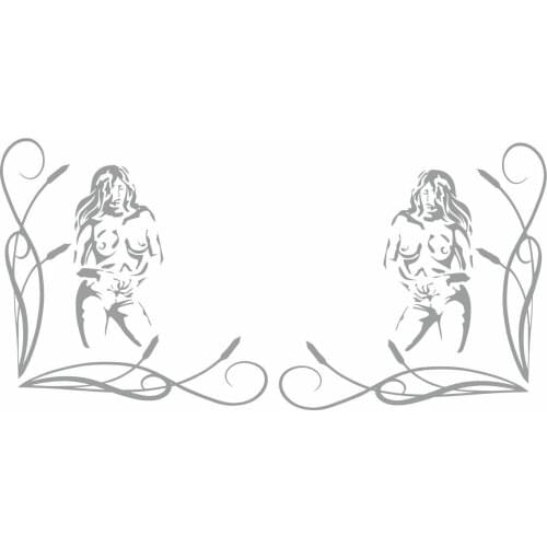 For x2 Volvo FH FH16 FH12 corner glass / window scrolls Decals Stickers all colours