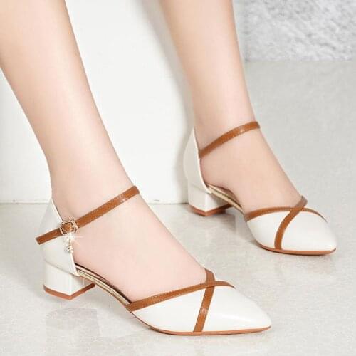 Womens Buckle Thick Heel Mid-heel Heesl All-match Color Matching Pointed Sandals Women Shoes