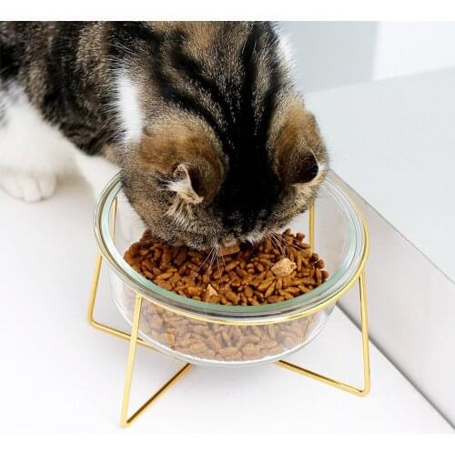 Glass Non-slip Cat Bowl Dog Food Water Feeder Pet Drinking Dish Pet Products Cat Dog Pet Bowl Pet Supplies