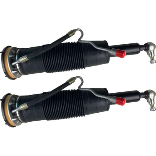 2213202313 2213202413 Front Pair Hydraulic Suspension Strut Shock Assembly For Mercedes Benz W221 S600