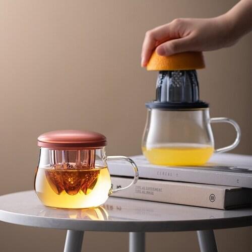 TeaCup Infuse Glass Tea Cup with Lid and Infuser Basket Perfect Tea Mug for Office and Home Use