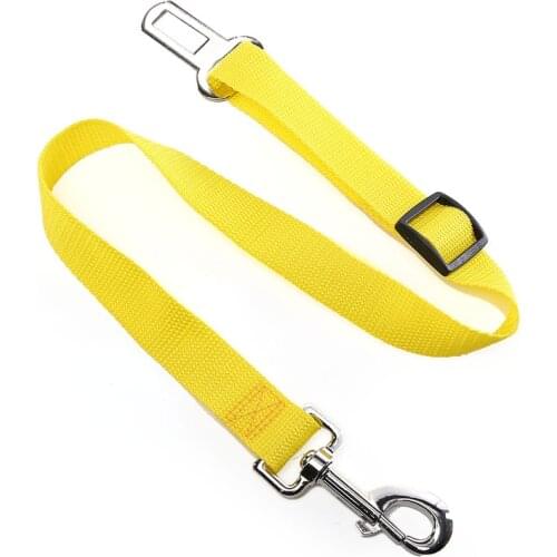 Portable Basic Pet Safe Belt