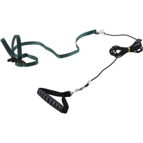 Lightweight Bird Straps Parrot Flying Rope for Outside Walk Portable Pet Product Anti-bite Harness Rope with Cute Wing