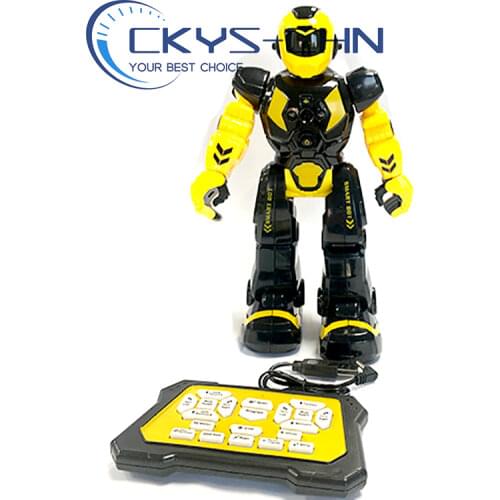 CKYSCHN Radio Controlled Robots