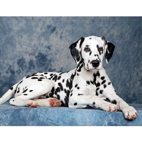 Full Square Diamond Dalmatian dog 5D DIY Diamond Painting 3D Rhinestone Embroidery pet Cross Stitch Mosaic Painting Home Decor