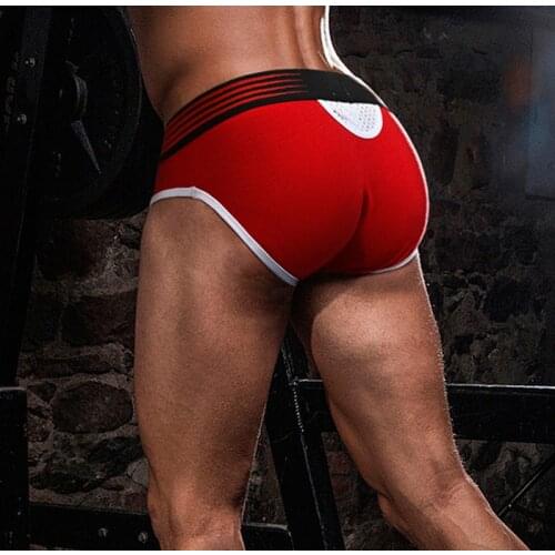 Brand Men Underwear Mesh Qucik-Dry Sexy Men Briefs Breathable Mens Slip Cueca Male Panties Underpants Briefs 5colors