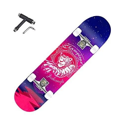 Skateboards Complete for Beginners Kids Boys Girls Youth Standard Skateboards 31''x8'' with 7 Lays Maple Deck Skate Boards