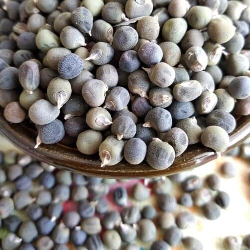 High quality okra 75g-900 grams free shipping