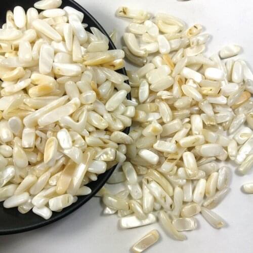 Drop Shipping 50g 3 Kinds Shell Conch Gravel Stones Quartz Crystal Rock Energy Healing Crystals