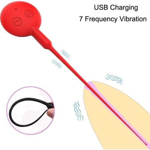 USB Rechargeable Urethral Plug Uretral Catheter Penis Vibrator Sound Insertion Cock Chastity Catheter Penis Sex Toys for Men Gay