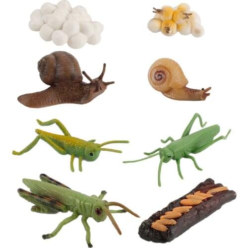 Insect Growth Figure Model Playset Kids Child Biology Toys Themed Party