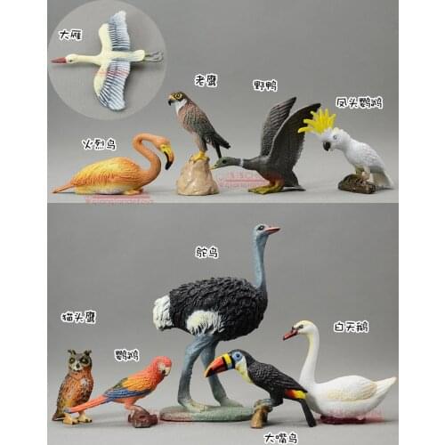 Animas ! solid model toucan ostrich owl parrot flamingly eagle
