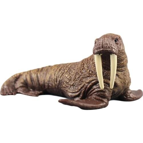 Realistic Walrus Marine Animal PVC Model Figurine Home Decor Kids Educational Toys for Children Gift
