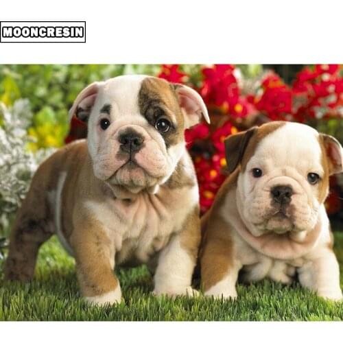 5D Diy Diamond Embroidery Full Square Dog Diamond Painting Cross Stitch Shar Pei Mosaic Picture Of Rhinestones Decoration Home