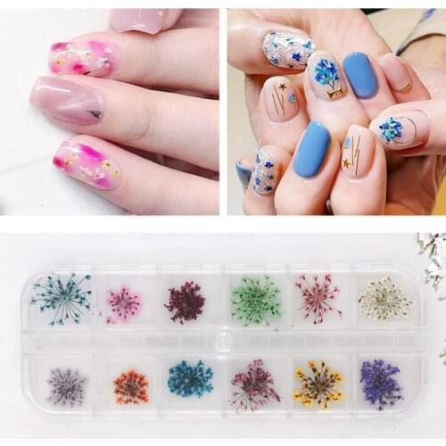 12 colors dried flower for nail art decorations natural nail dry flowers gypsophila paniculate beauty manicure tool