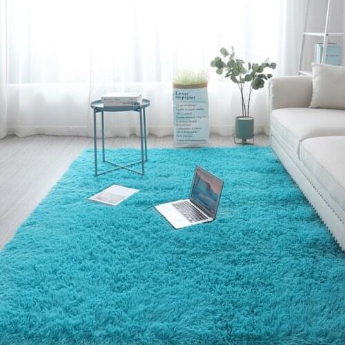 Nordic ins living room carpet bedroom tatami rug plush thick carpet balcony bay window decoration floor mat summer new carpet