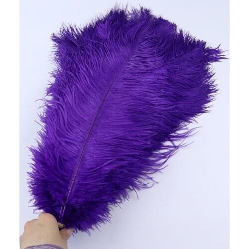 10 PCS Ostrich Feathers 45-50CM Natural Plumes For White Wedding Floor Lamp Shade Decoration Feather DIY Crafts