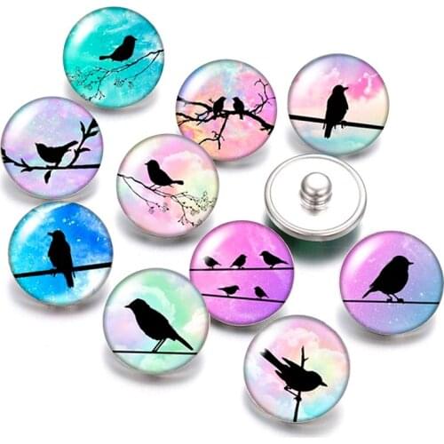 Beauty lovely birds Hummingbird 18mm snap buttons 10pcs mixed round photo glass cabochon style for snap button jewelry