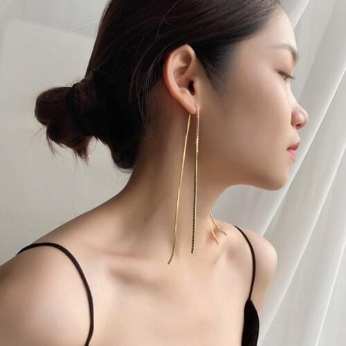 Silvology 925 Sterling Silver Zircon Tassel Long Earrings Simple Elegant Light Luxury Earrings for Women 925 Fashionable Jewelry