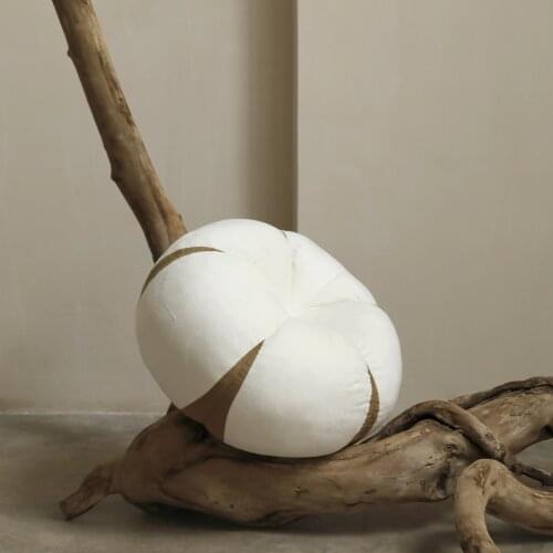 Year-Old Winter Series Cotton Cushion Waist Cushion Pillow Autumn and Winter Color Series Soft Super Soft