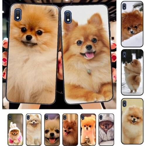 TOPLBPCS Pomeranian dogs dog Colorful Cute Phone Case for Samsung A51 01 50 71 21S 70 31 40 30 10 20 S E 11 91 A7 A8 2018