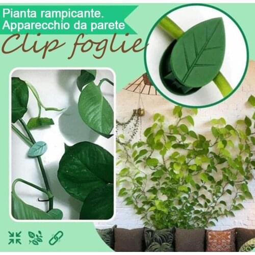 25/50 Pcs Plastic Plant Fix Clips Orchid Stem Vine Support Vegetables Farm Flowers Fruit Tied Bundle Branch Clamping Gardening