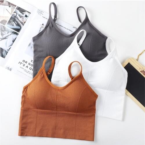 Push Up Solid Sports Bra Cotton Sports Bras Women Jogging Gym Women Sports Bra Girl Underwear Fitness Running Yoga Sport Tops