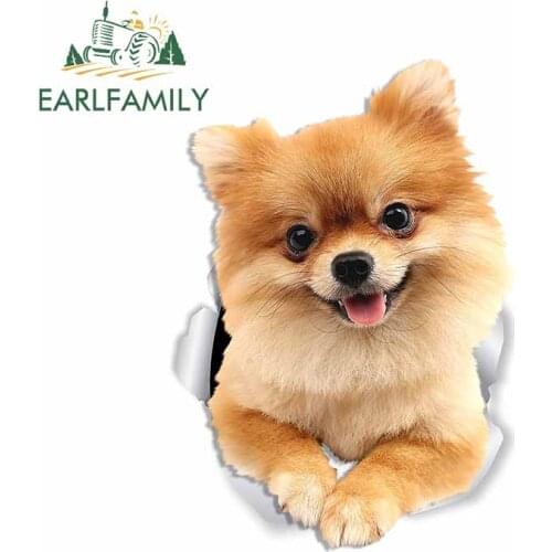 EARLFAMILY 13cm x 9.1cm For Cute Pomeranian Dog Repair Car Stickers Personality Creative Decal Campervan Decals Decoration