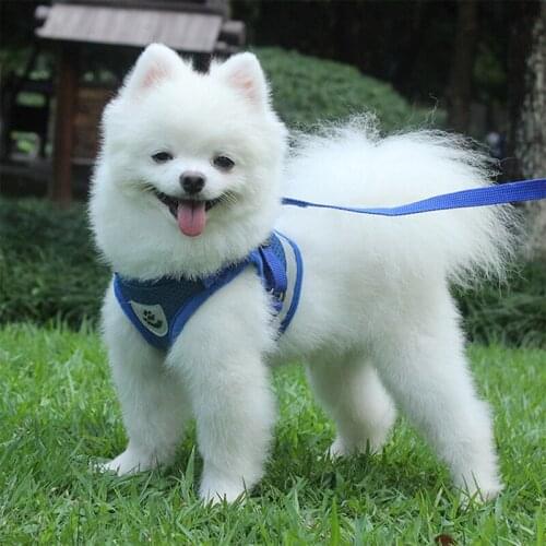 Pet Supplies Nylon Mesh Harness and Leash Set with Reflective Tape Dog Cat Adjustable Walking Vest Puppy Kitten Pet Accessories