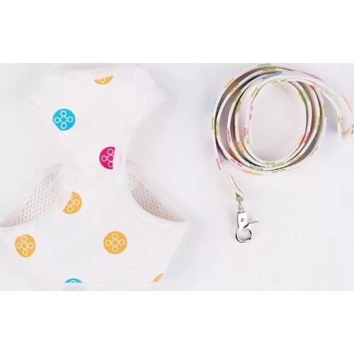 Pet Dog Waistcoat Style Adjustable Leather Leash Harness Set for Small Dogs Outdoor French Bulldog Pomeranian Dropshipping FHL02