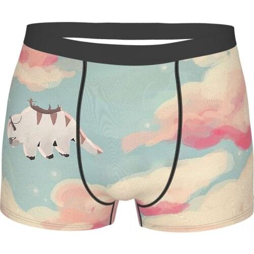 Dreamy Appa Avatar The Last Airbender Katara Aang Sokka Zuko Animated TV Series Underpants Breathbale Panties Mens Underwear